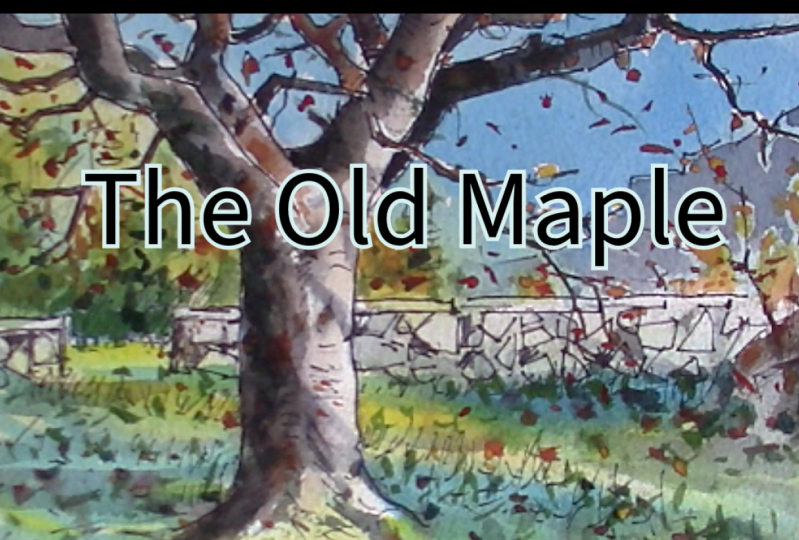 The Old Maple