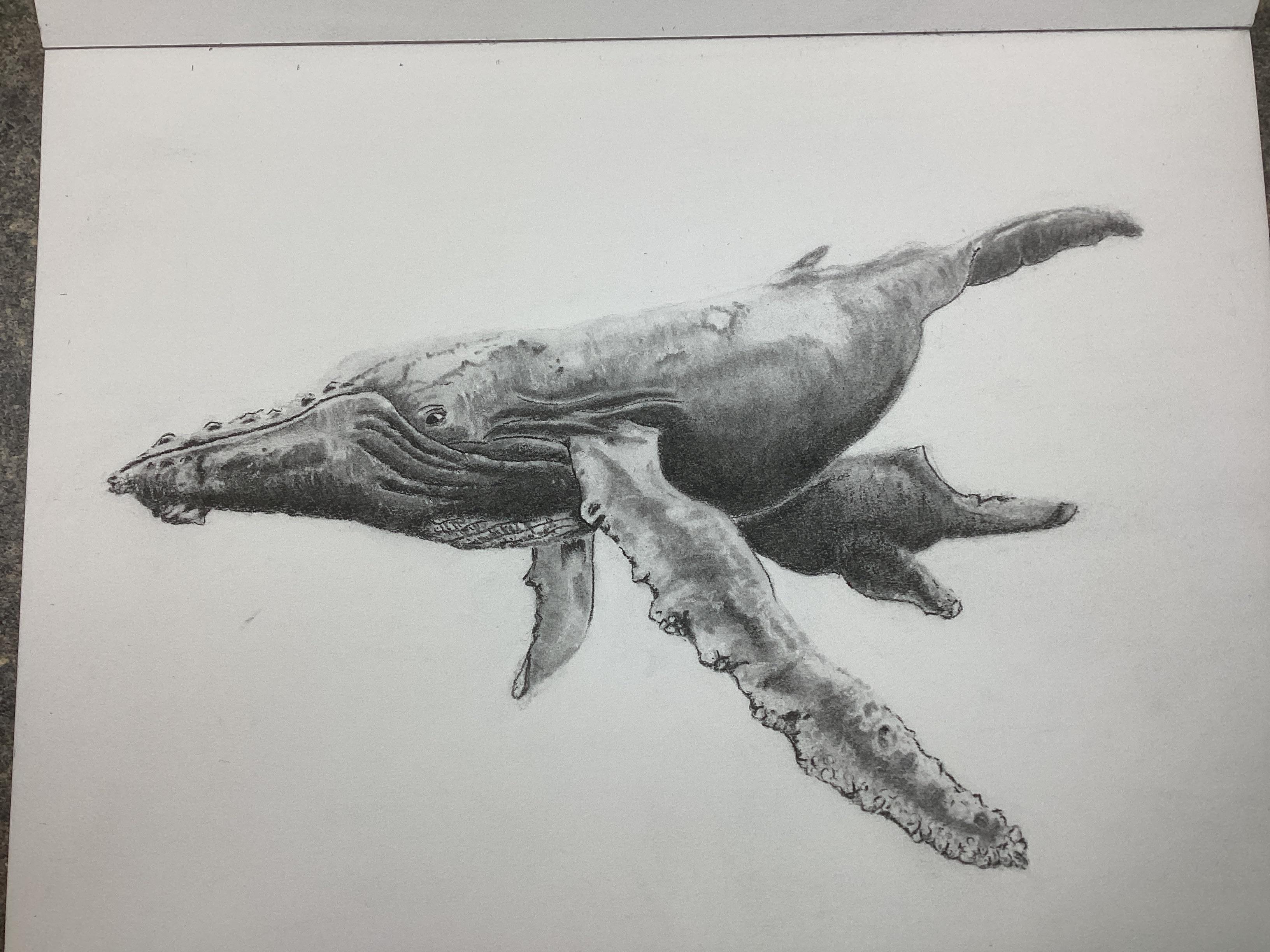 more-projects-from-class-img
