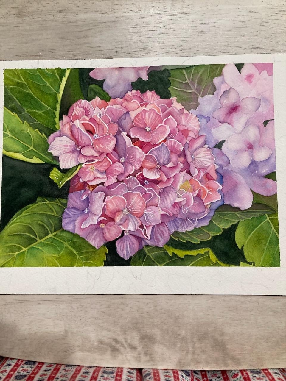 Hydrangea - student project