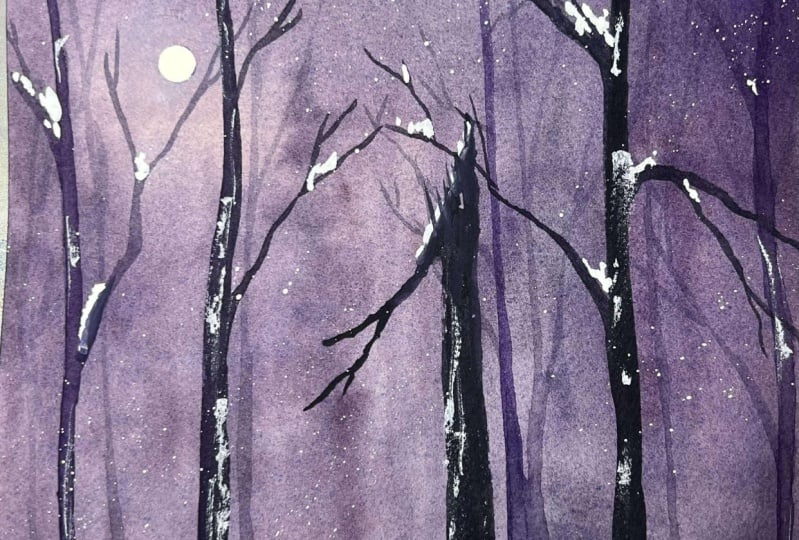 Misty forest