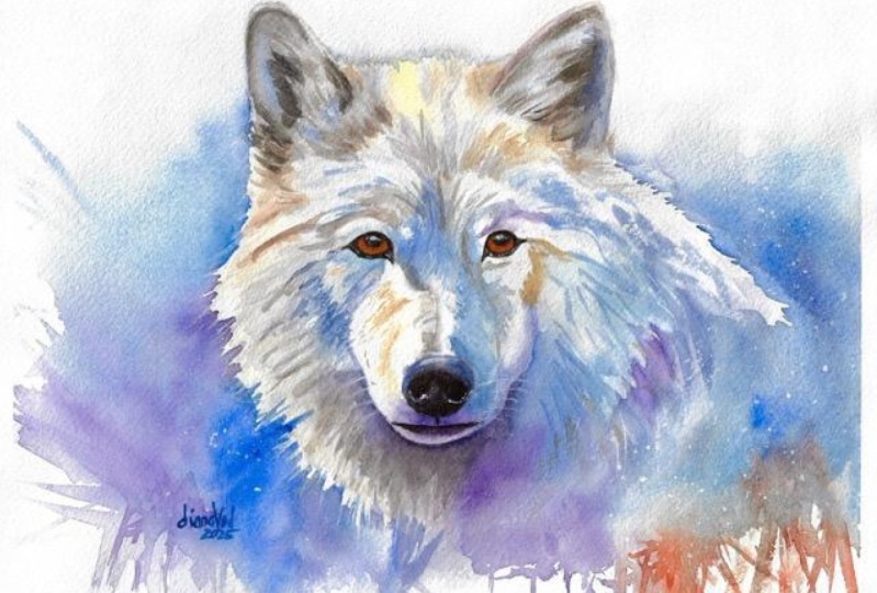 White Wolf Capturing Wild Beauty