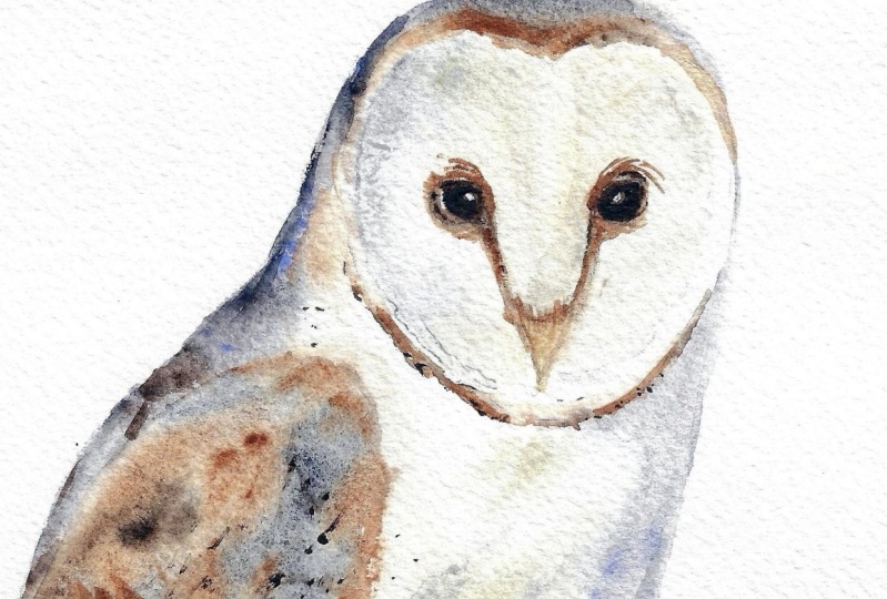 Perching Barn Owl