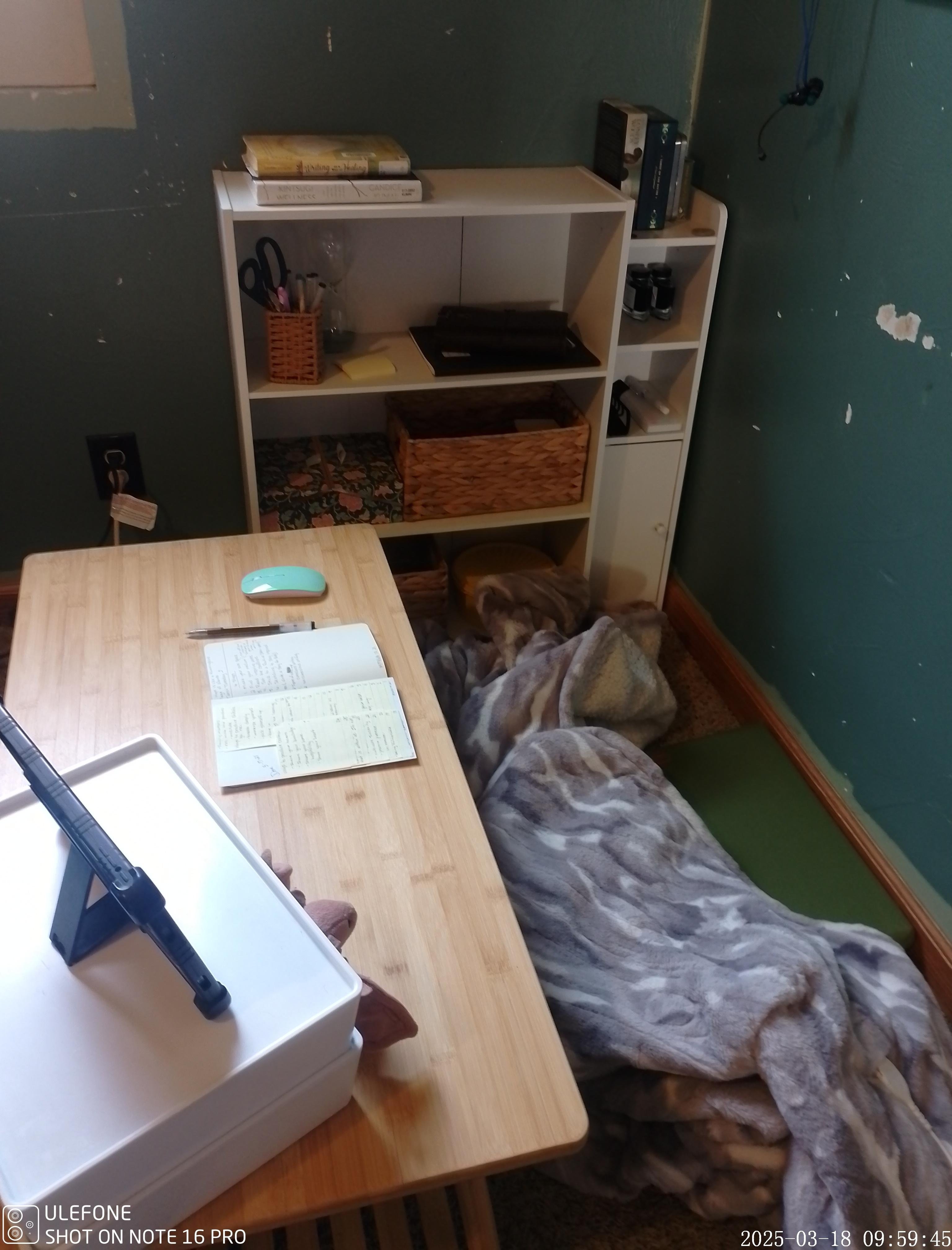 more-projects-from-class-img