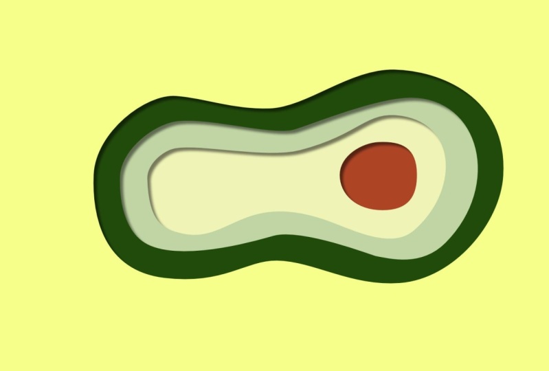 Avocado Cutout