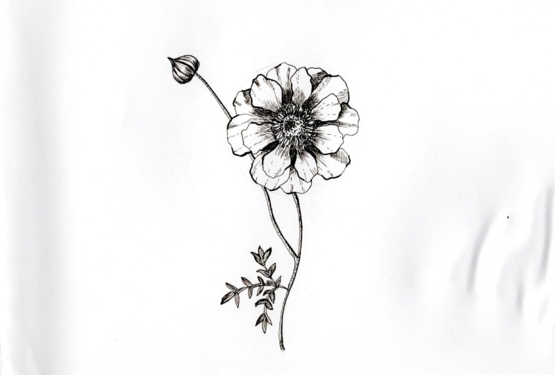 First sketch