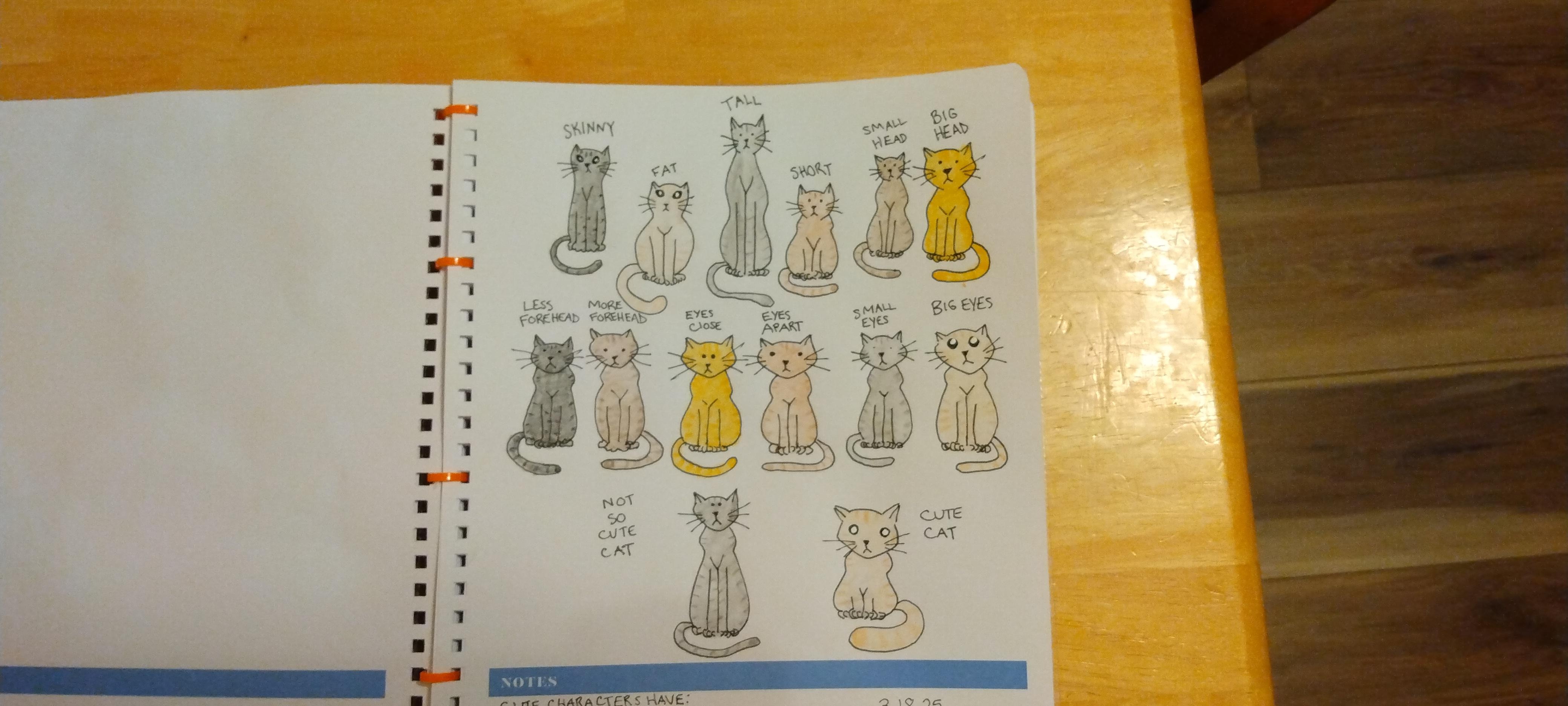more-projects-from-class-img