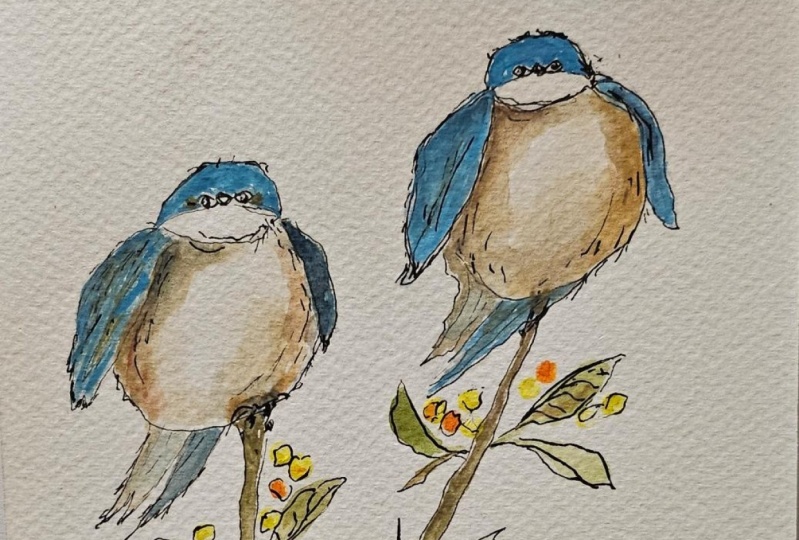 Quirky birds