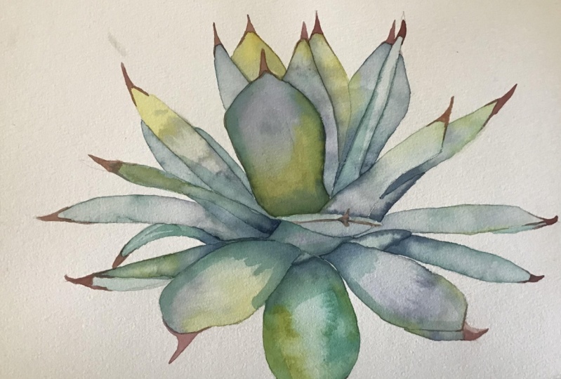 Jewel toned botanical