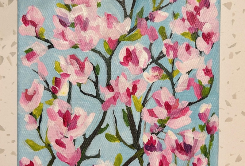 Magnolia Tree Blooms