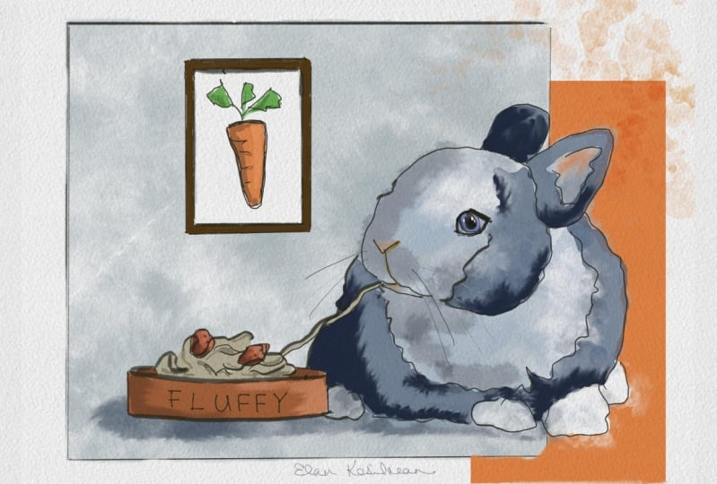 Pasta-Loving Bunny