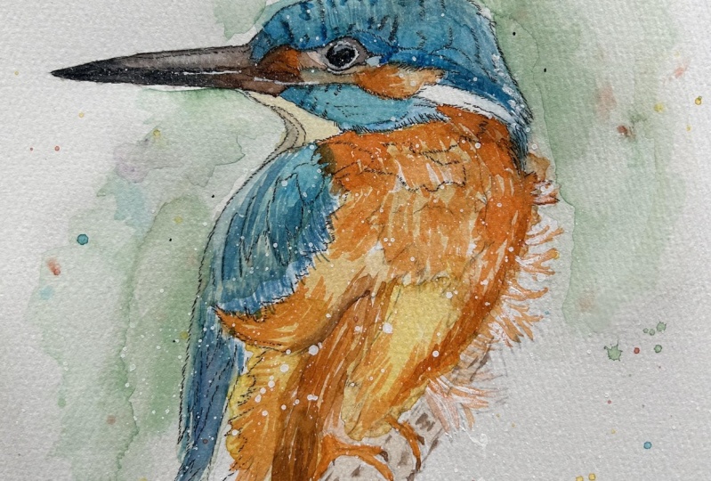 Traditional Watercolor for beginners