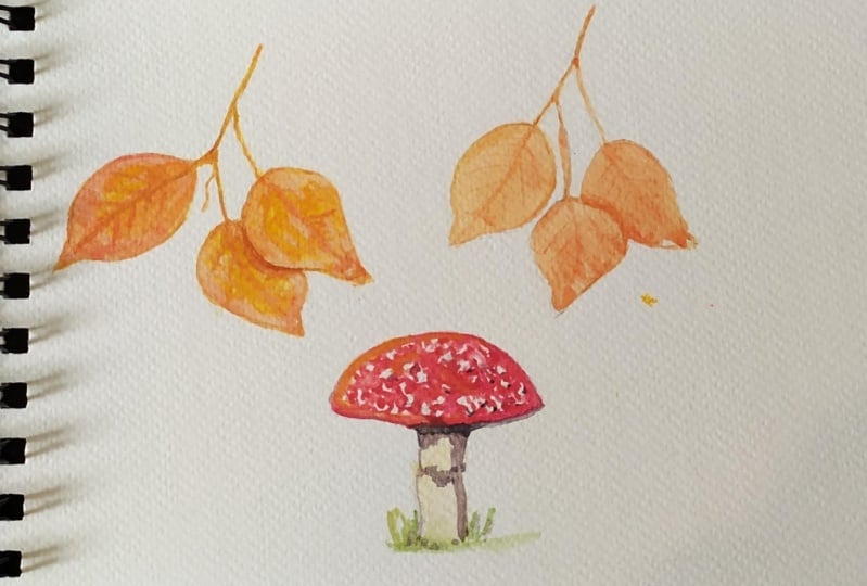 Shadows to lift watercolours