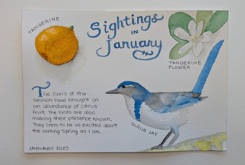 Nature Journal