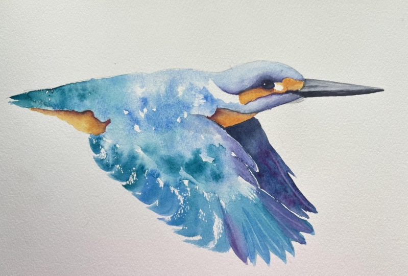 Kingfisher