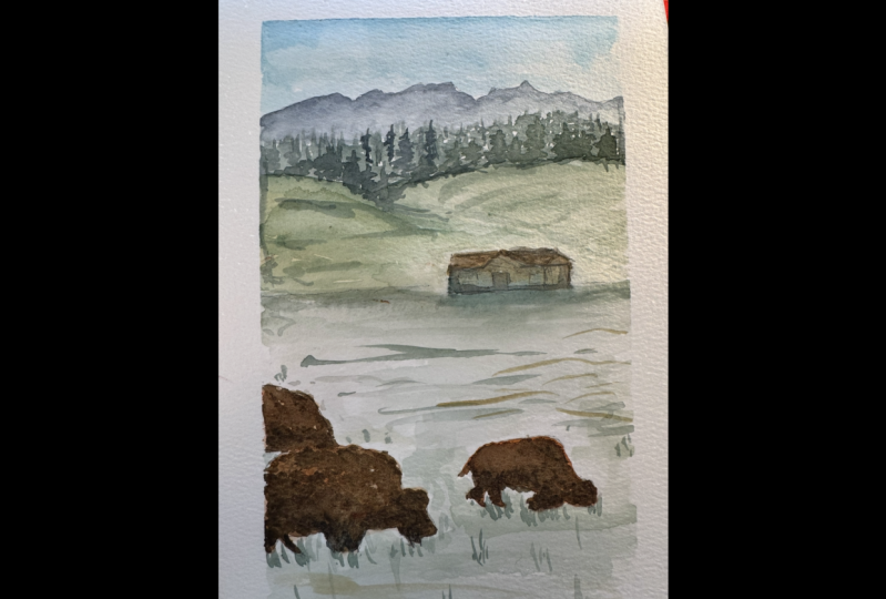 Bison layers