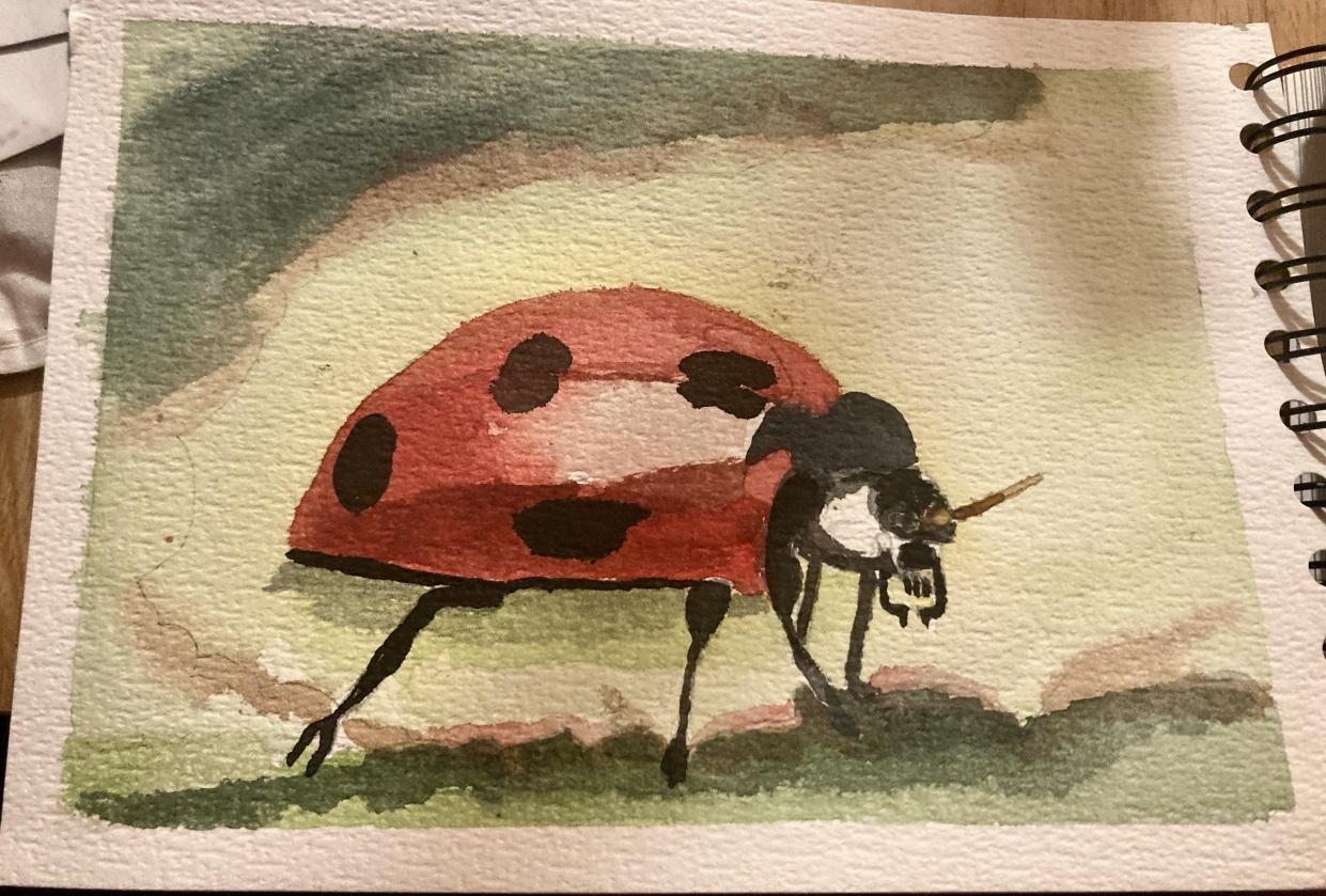 Ladybug - student project