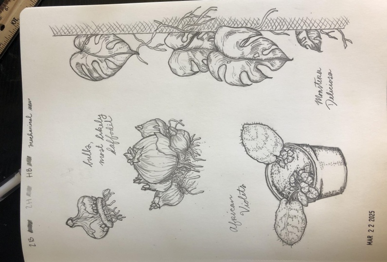 Copy Sketches