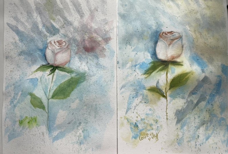 white rose watercolor painting loose style
