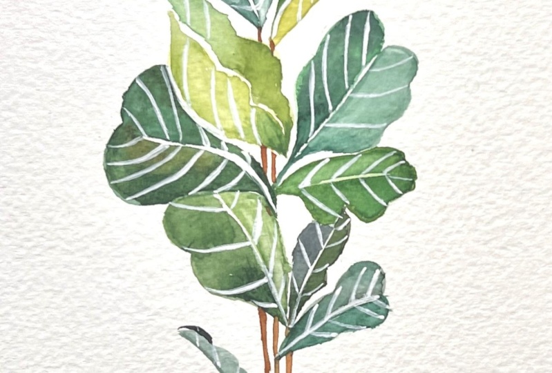 My plant :)