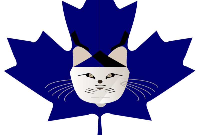 Canadien Lynx by me