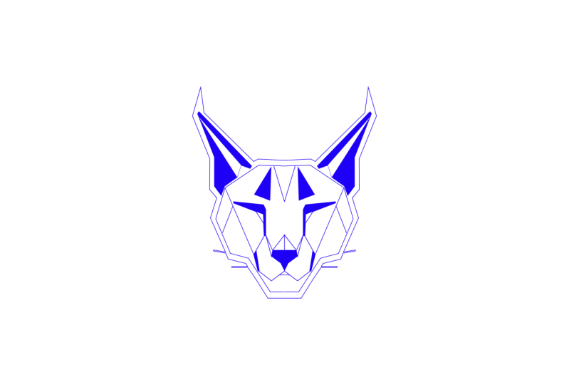 Canadien Lynx by me