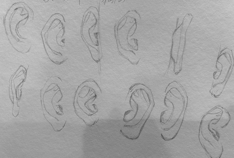 Ear study