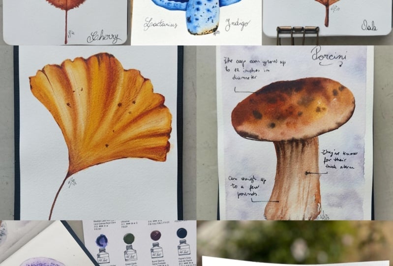 Watercolor Autumn Leaves & Mushrooms