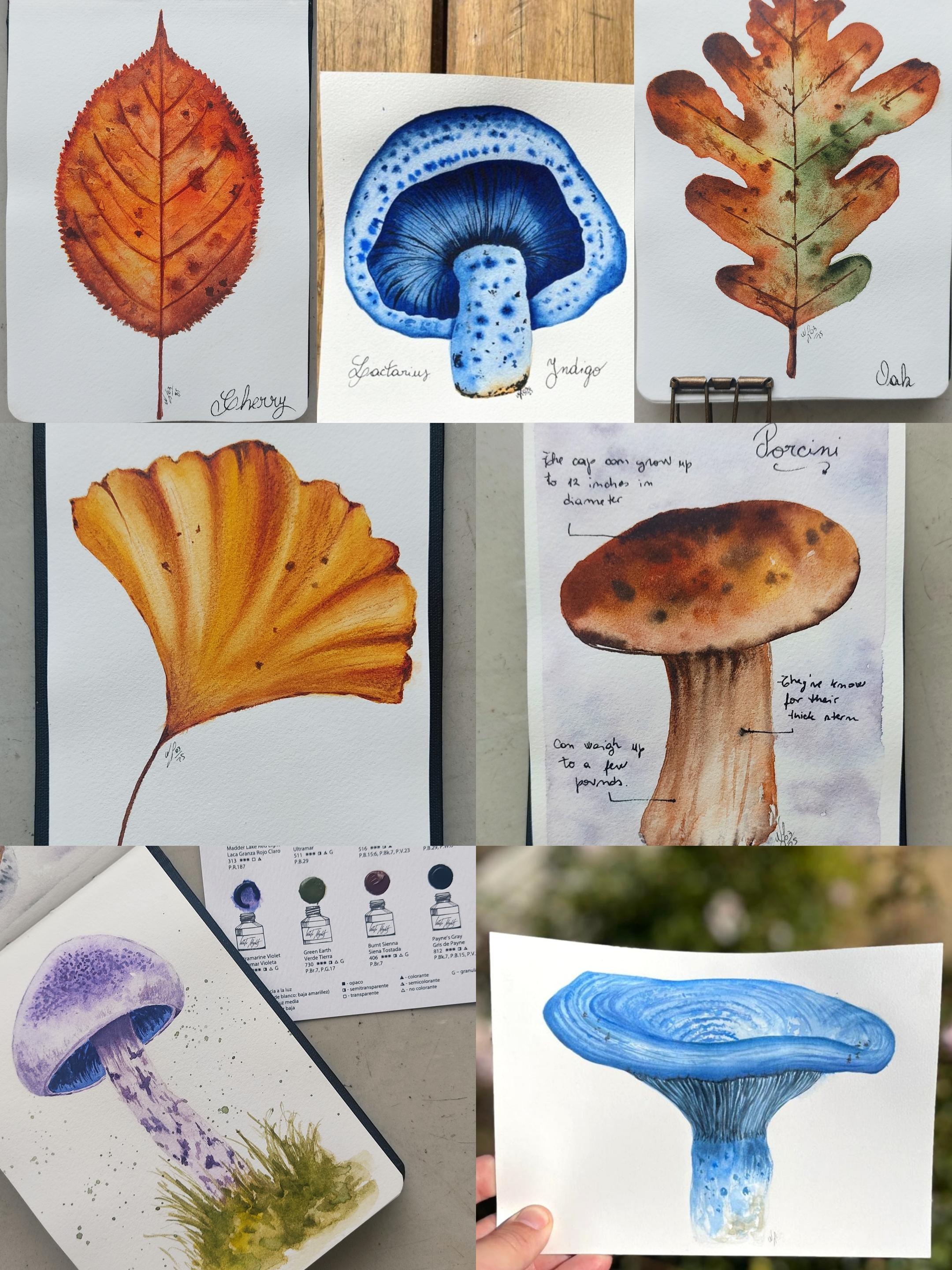 more-projects-from-class-img