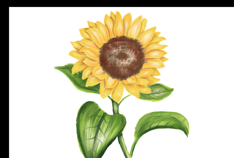 Acrylic Sunflower
