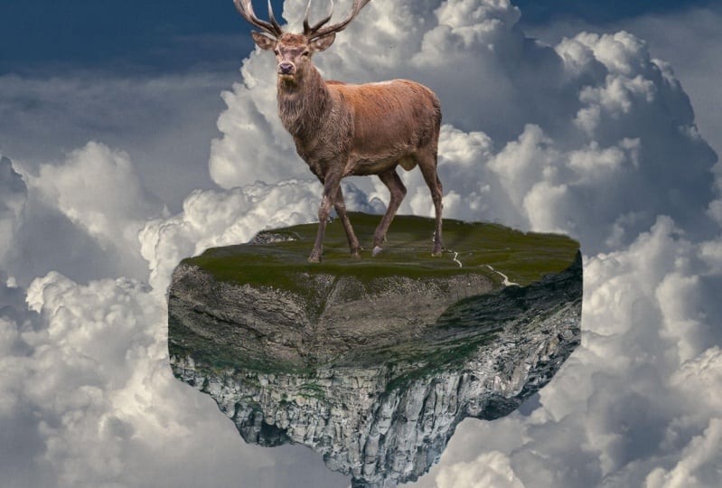 Sky deer