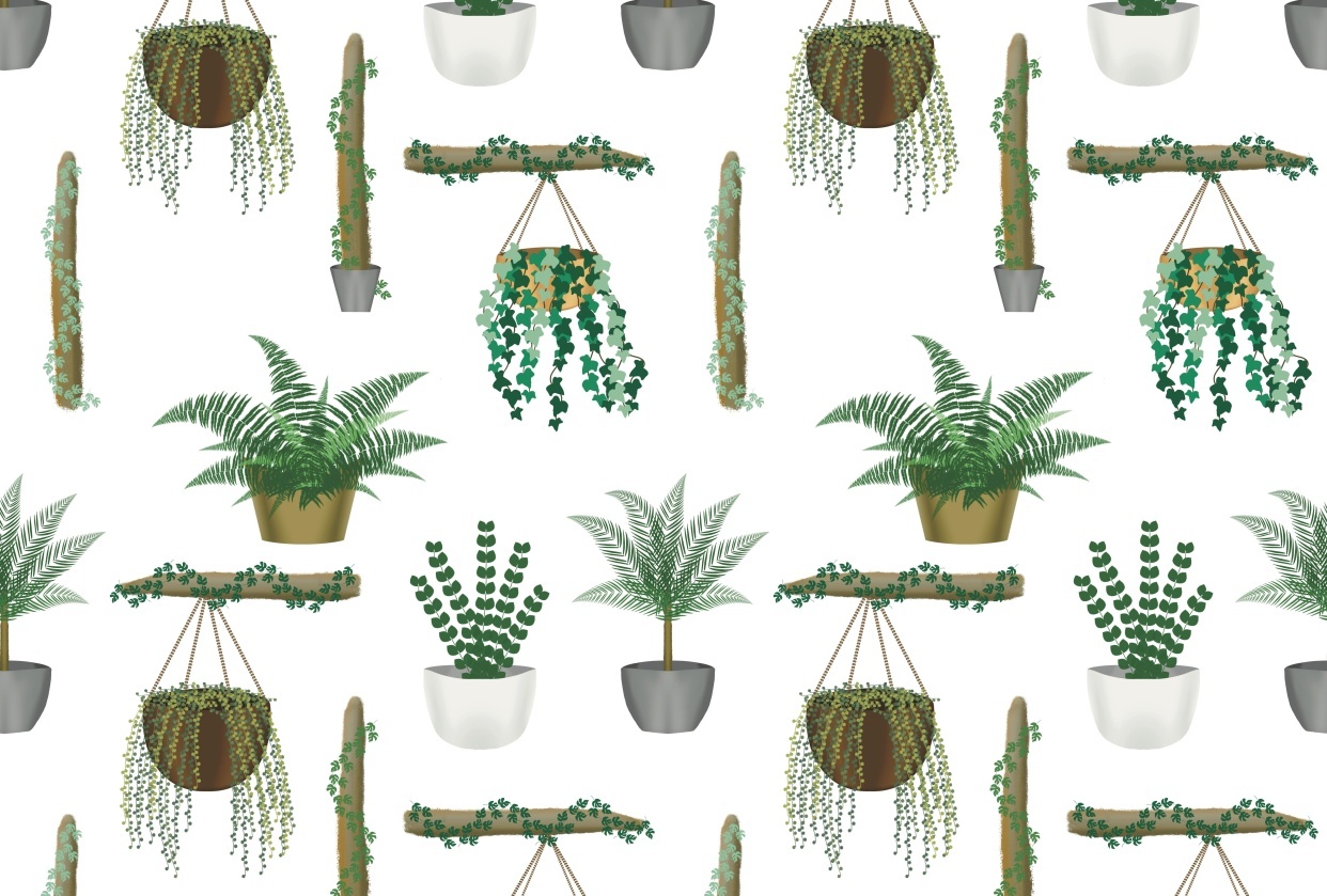 House Plants Repeat - student project