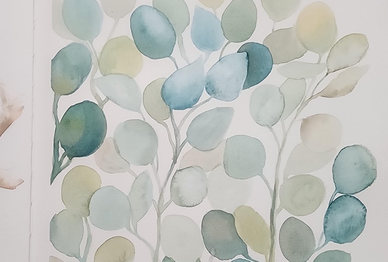 Eucalyptus leaves