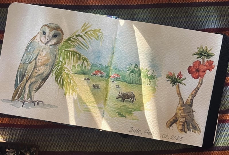 Travel Sketch - Goa