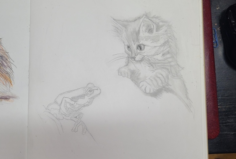 Kitty regards frog