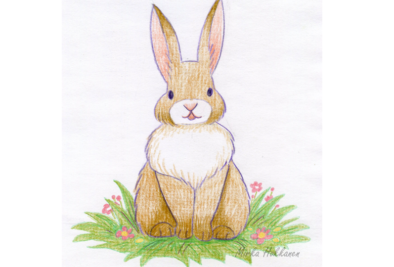 Spring bunny drawing