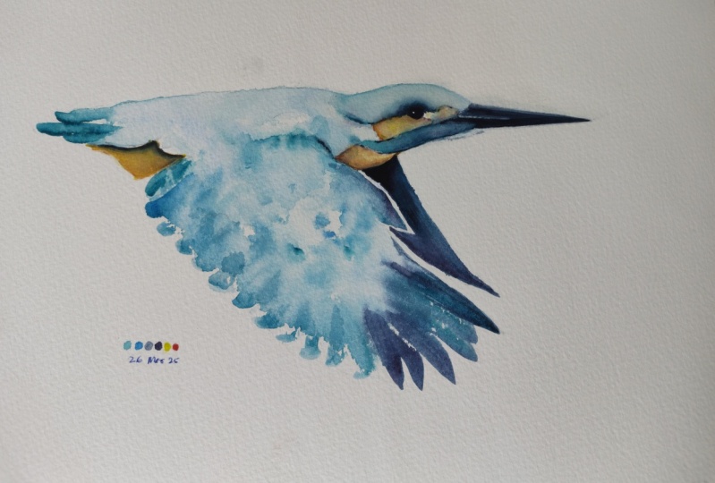 Flying Kingfisher - A watercolour class with Nadine Dudek