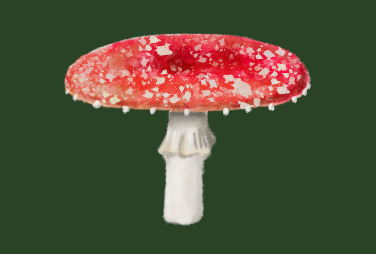 Watercolor mushroom - student project
