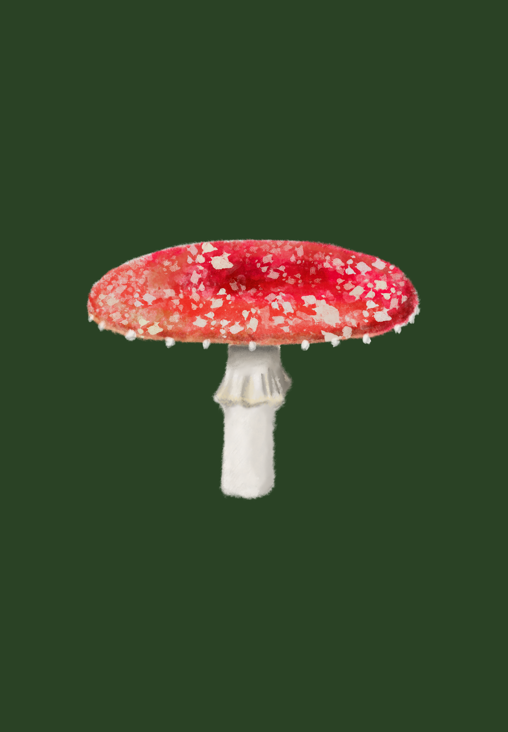Watercolor mushroom - student project