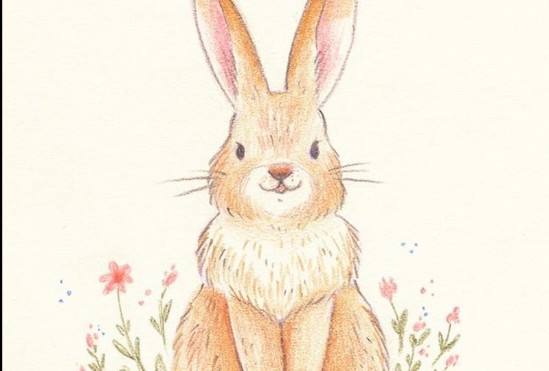 Cute bunny :)