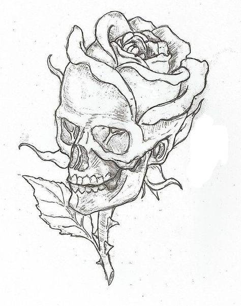 more-projects-from-class-img