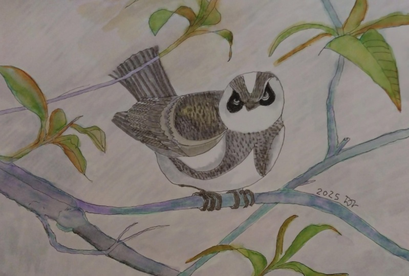 Warbler with watercolor markers