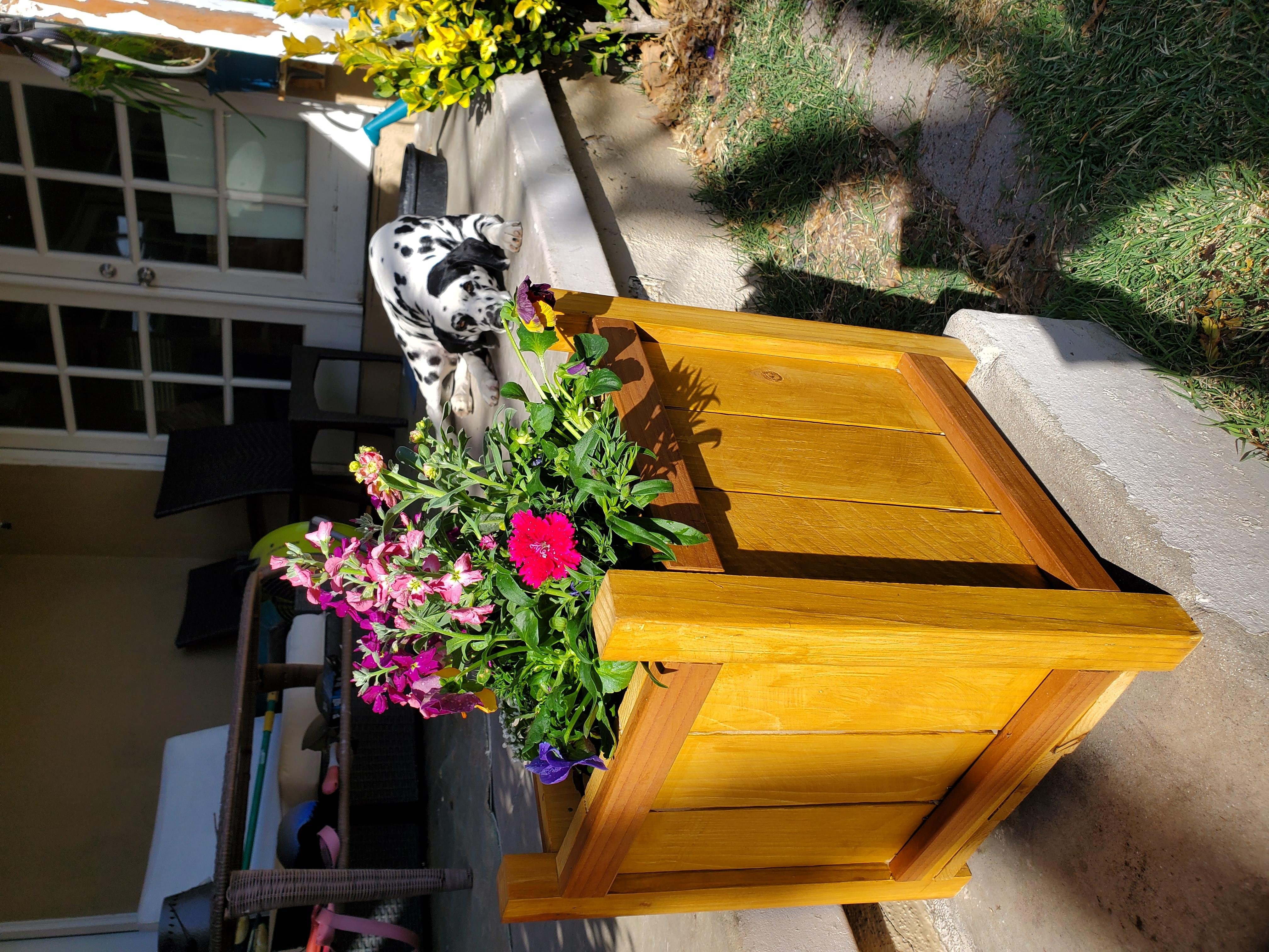 My Cedar Planter - student project