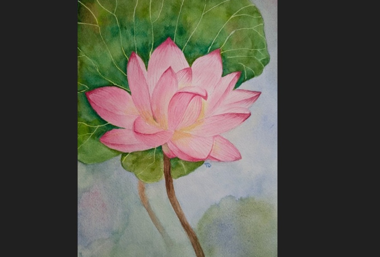 Lotus in watercolor - student project