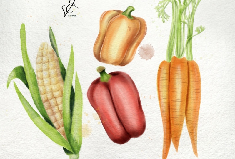 Cam Veg Watercolor
