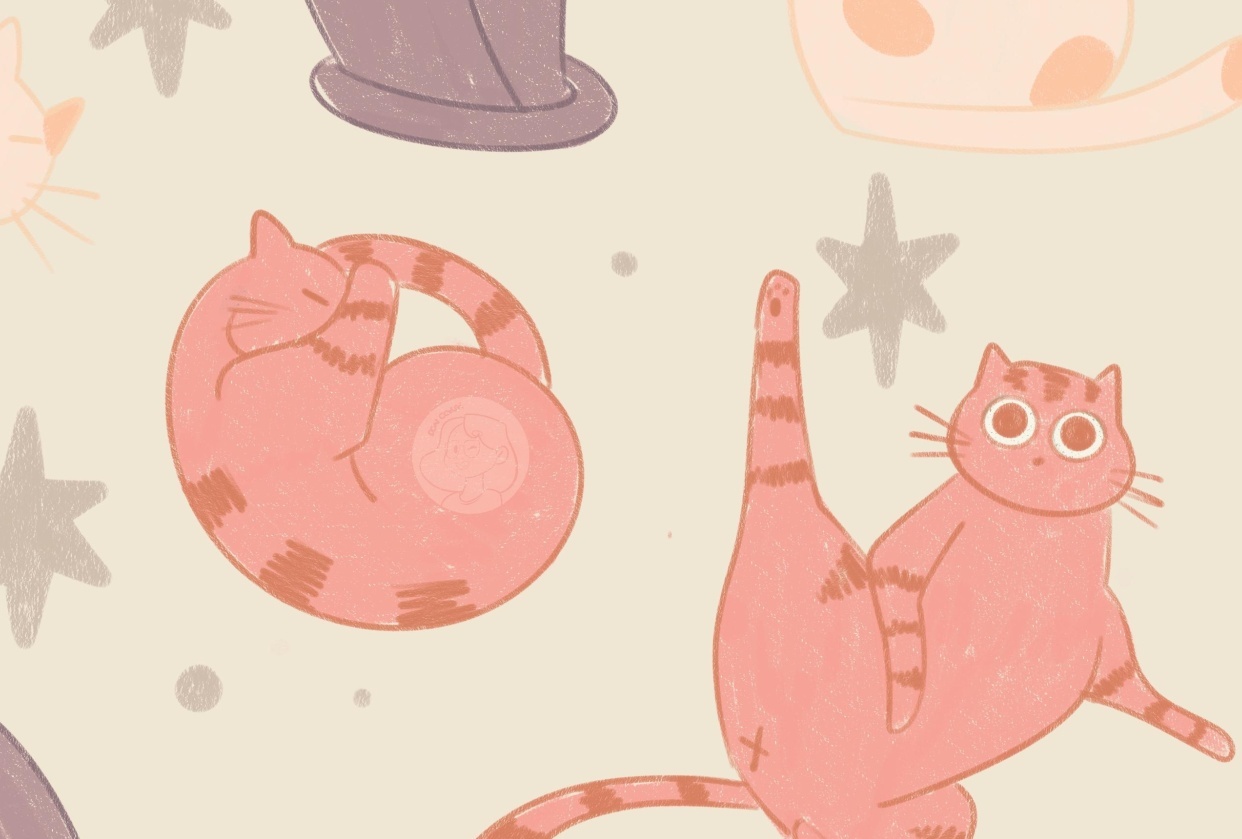 A Bunch Of Cute Cats! - student project
