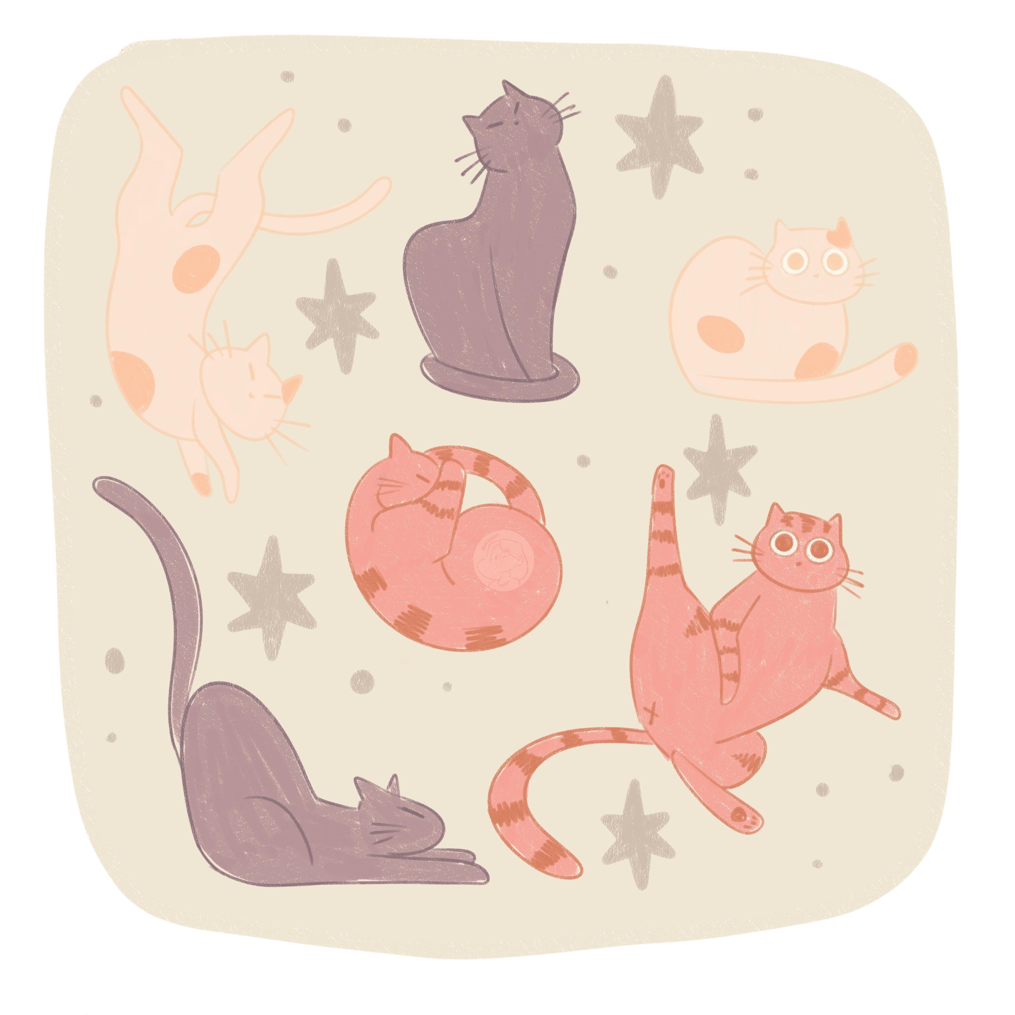 A Bunch Of Cute Cats!
