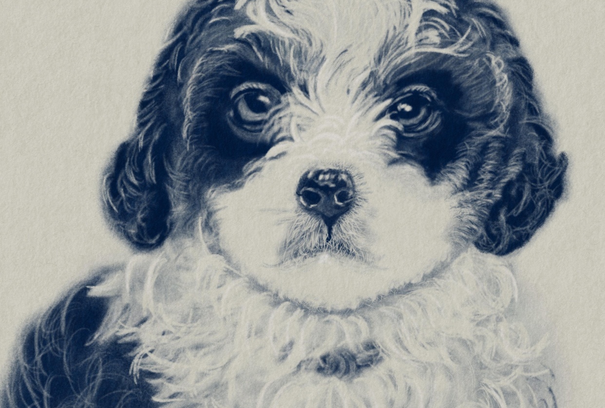 Learn To Draw with Procreate - student project