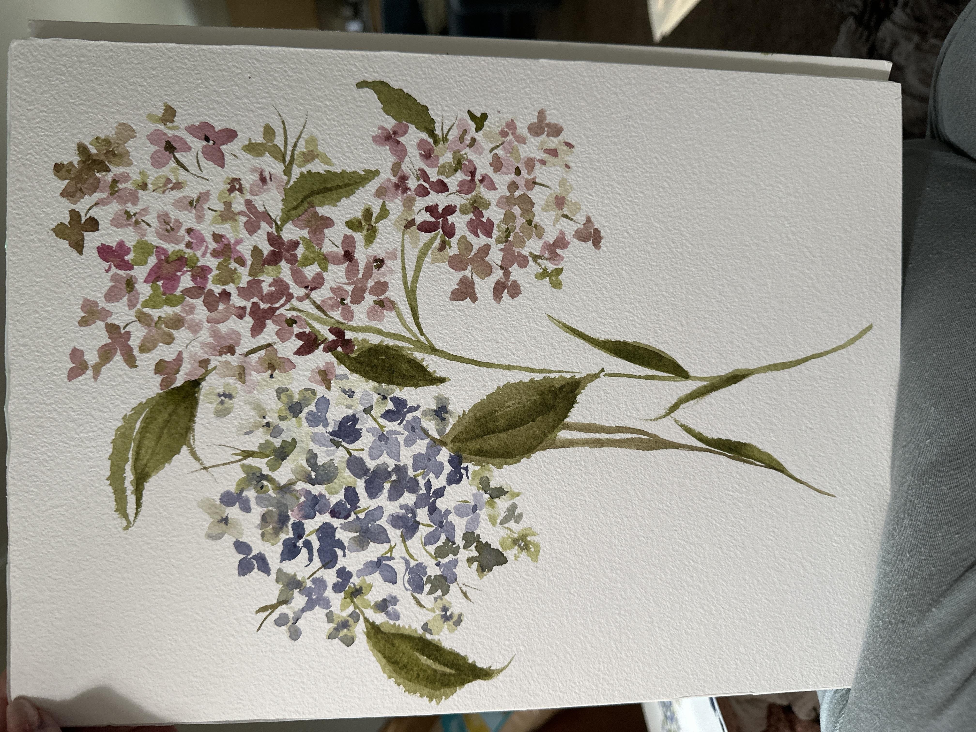 Loose hydrangea 1st time - student project