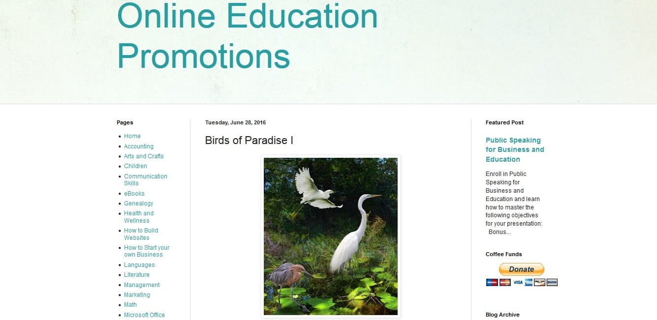 Online Education Promotions - student project