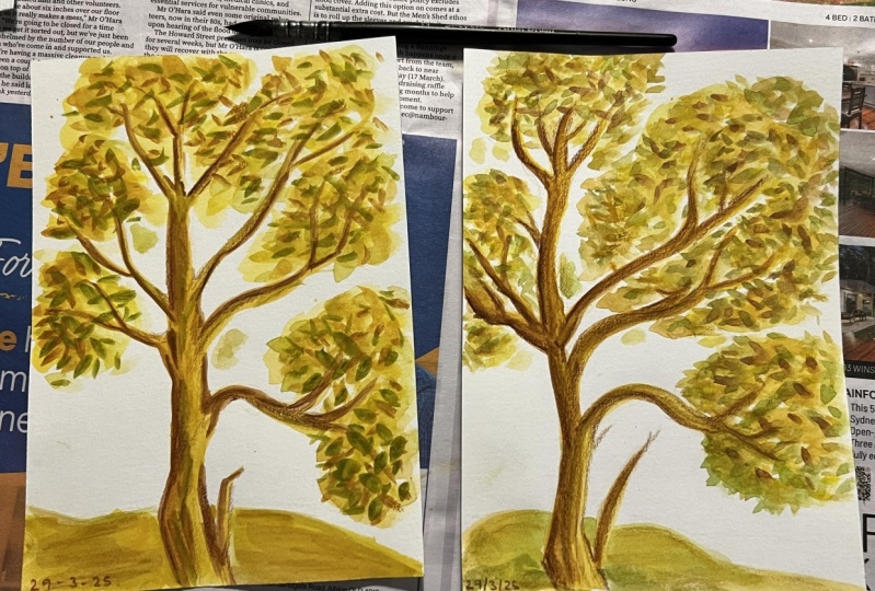 My trees